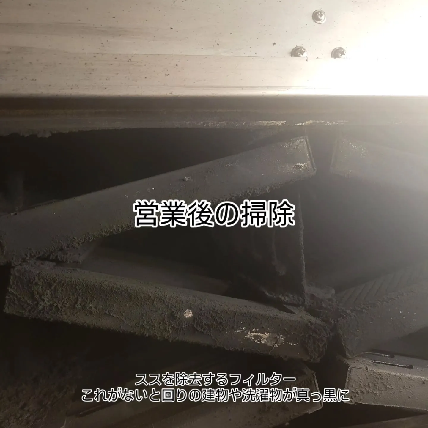 ピザ歴26年、百名店出身シェフの　　　　　　　　　ナポリピッ...