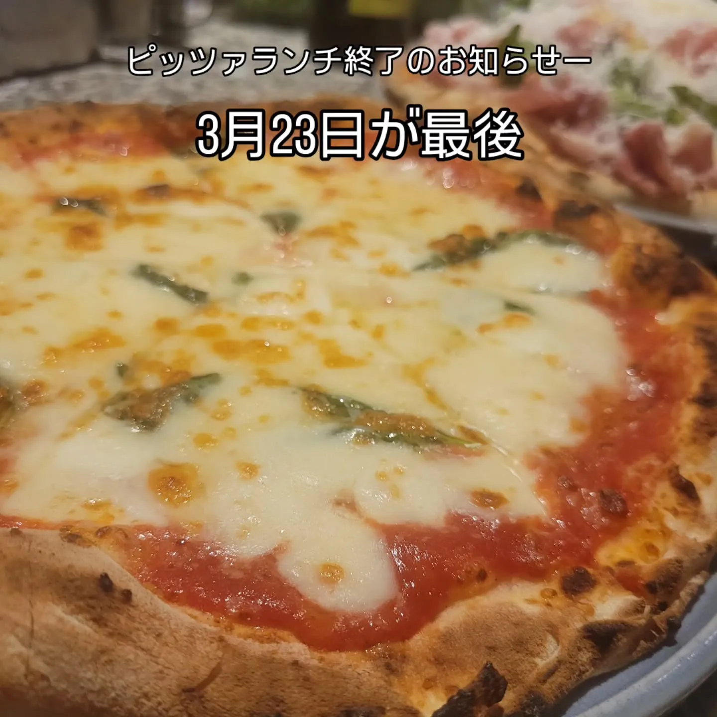 薪窯ピッツァとイタリア料理