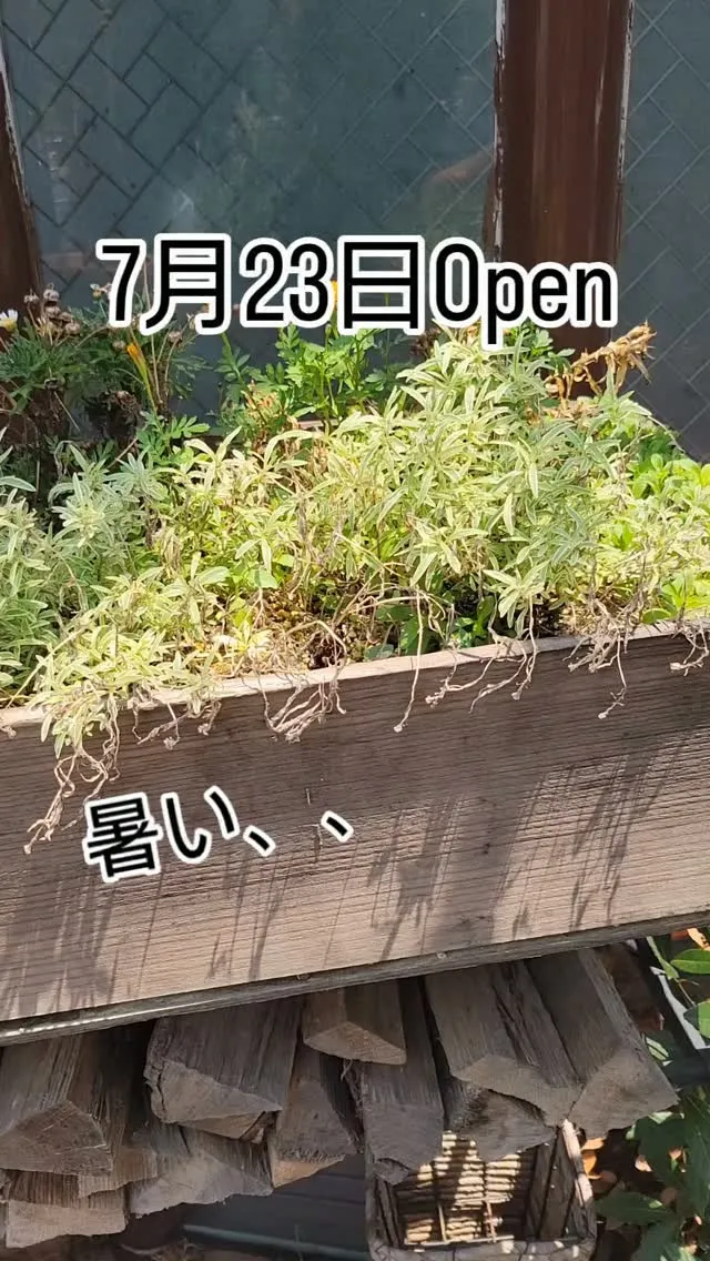 店内は涼しくしてお待ちしております！
