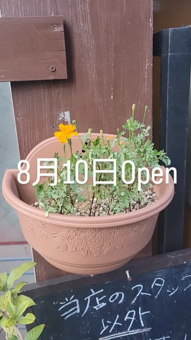 8月10日Open