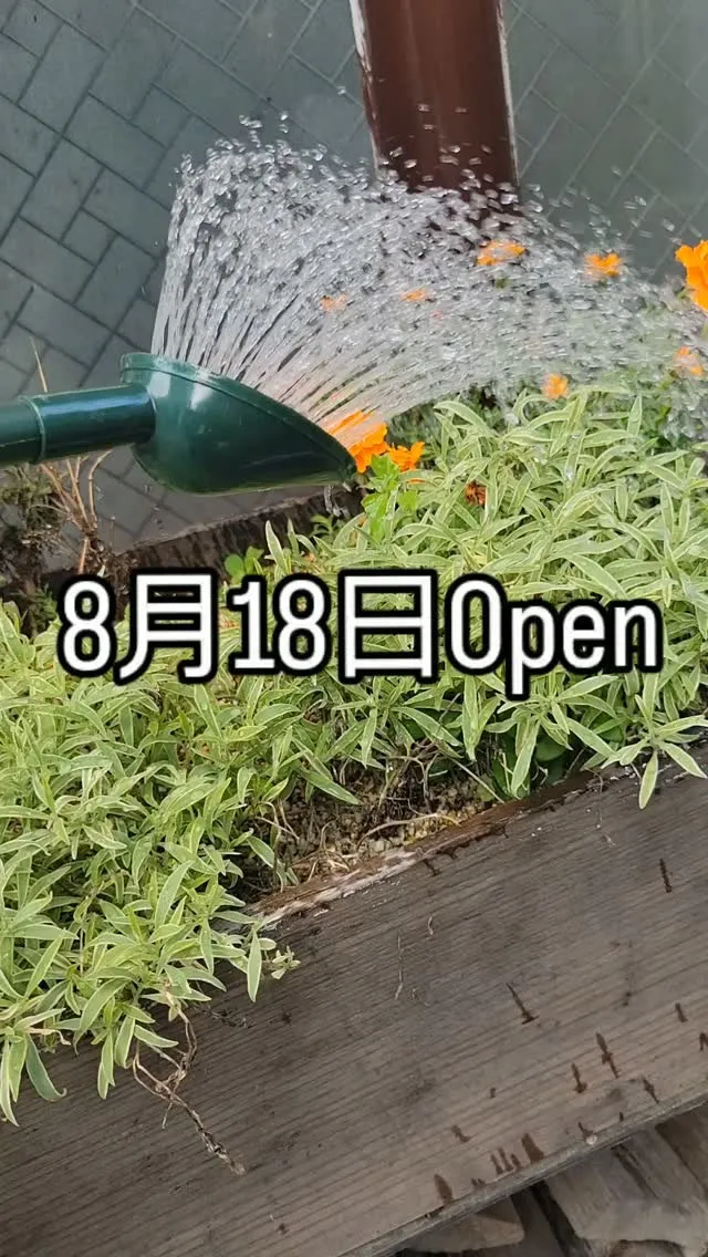 8月18日Open