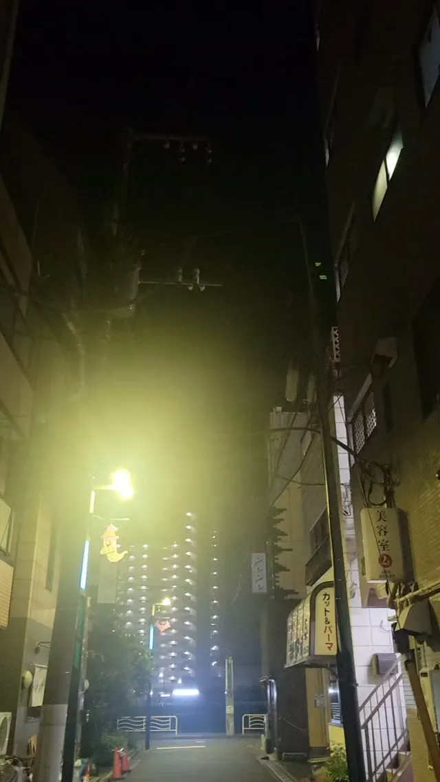 日本の夜明けぜよ